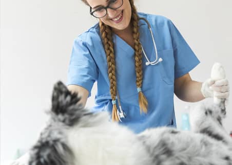 Servicios Externos L’HospitalVet+ Clínica Veterinaria